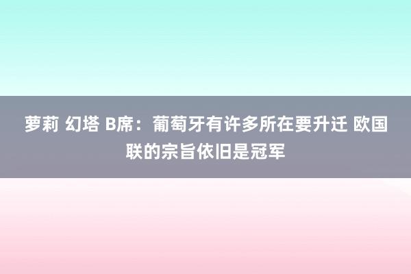 萝莉 幻塔 B席:葡萄牙有许多所在要升迁 欧国联的宗旨依旧是冠军