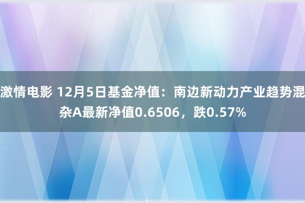 激情电影 12月5日基金净值：南边新动力产业趋势混杂A最新净值0.6506，跌0.57%