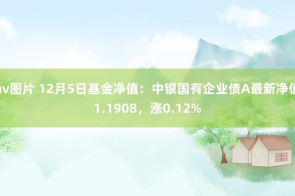 av图片 12月5日基金净值：中银国有企业债A最新净值1.1908，涨0.12%