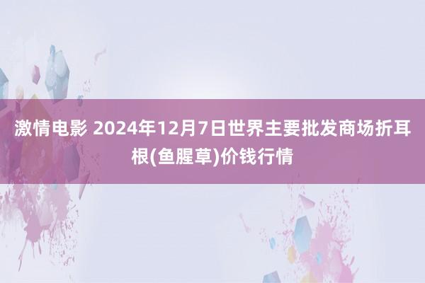 激情电影 2024年12月7日世界主要批发商场折耳根(鱼腥草)价钱行情