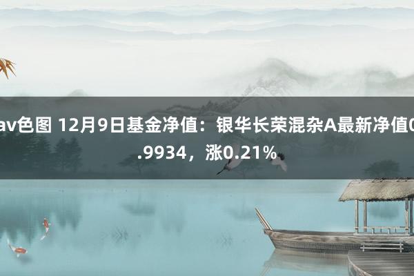 av色图 12月9日基金净值：银华长荣混杂A最新净值0.9934，涨0.21%