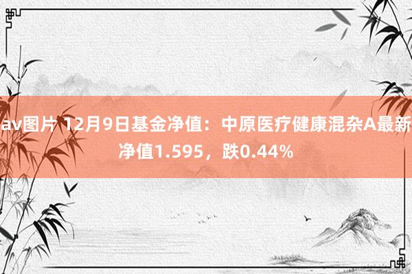 av图片 12月9日基金净值：中原医疗健康混杂A最新净值1.595，跌0.44%