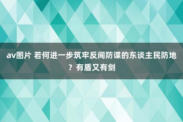 av图片 若何进一步筑牢反间防谍的东谈主民防地？有盾又有剑