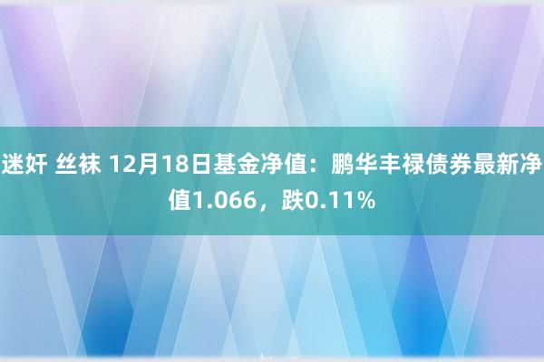 迷奸 丝袜 12月18日基金净值：鹏华丰禄债券最新净值1.066，跌0.11%