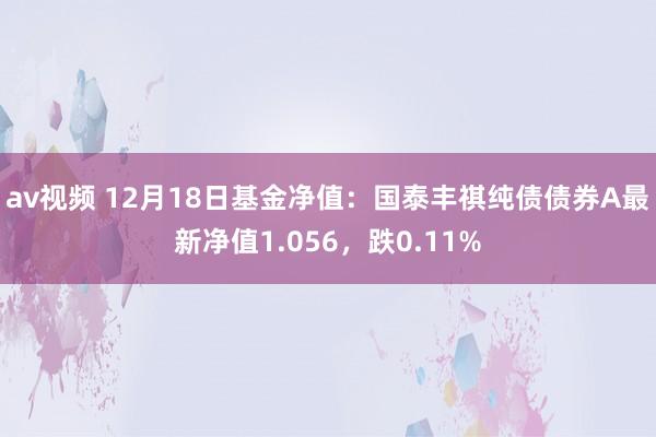 av视频 12月18日基金净值：国泰丰祺纯债债券A最新净值1.056，跌0.11%