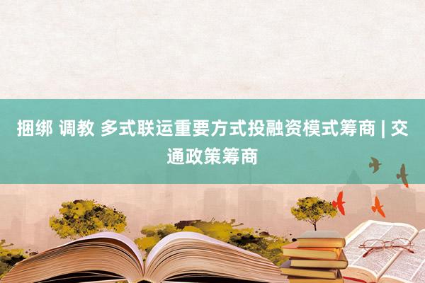 捆绑 调教 多式联运重要方式投融资模式筹商 | 交通政策筹商