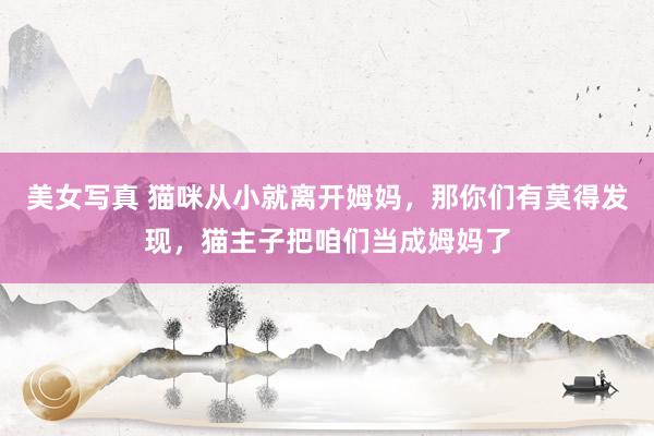 美女写真 猫咪从小就离开姆妈，那你们有莫得发现，猫主子把咱们当成姆妈了