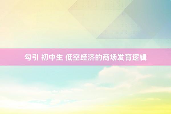 勾引 初中生 低空经济的商场发育逻辑