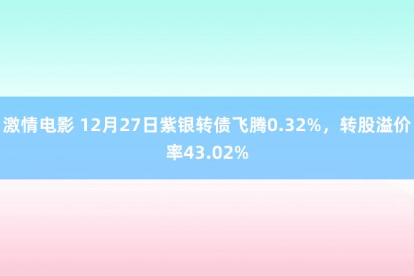 激情电影 12月27日紫银转债飞腾0.32%，转股溢价率43.02%