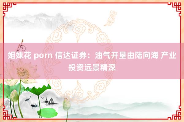 姐妹花 porn 信达证券：油气开垦由陆向海 产业投资远景精深