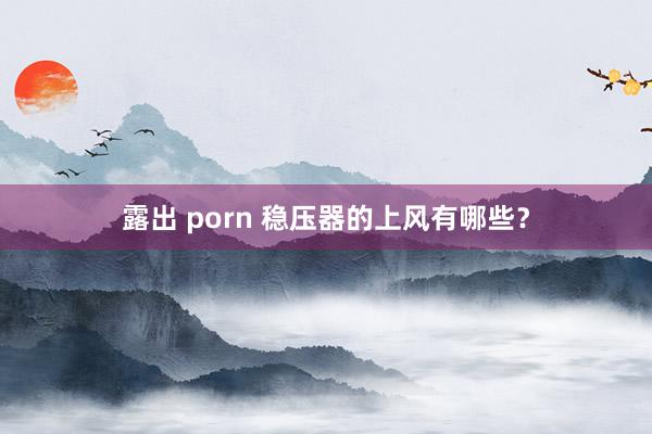 露出 porn 稳压器的上风有哪些？