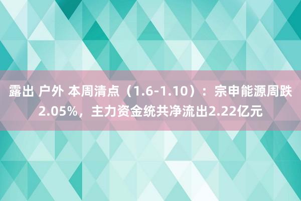 露出 户外 本周清点（1.6-1.10）：宗申能源周跌2.05%，主力资金统共净流出2.22亿元