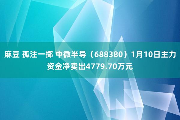 麻豆 孤注一掷 中微半导（688380）1月10日主力资金净卖出4779.70万元