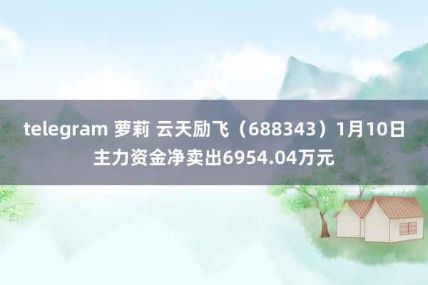 telegram 萝莉 云天励飞（688343）1月10日主力资金净卖出6954.04万元