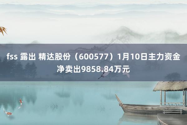 fss 露出 精达股份（600577）1月10日主力资金净卖出9858.84万元
