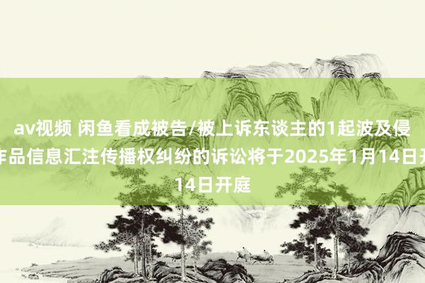 av视频 闲鱼看成被告/被上诉东谈主的1起波及侵害作品信息汇注传播权纠纷的诉讼将于2025年1月14日开庭
