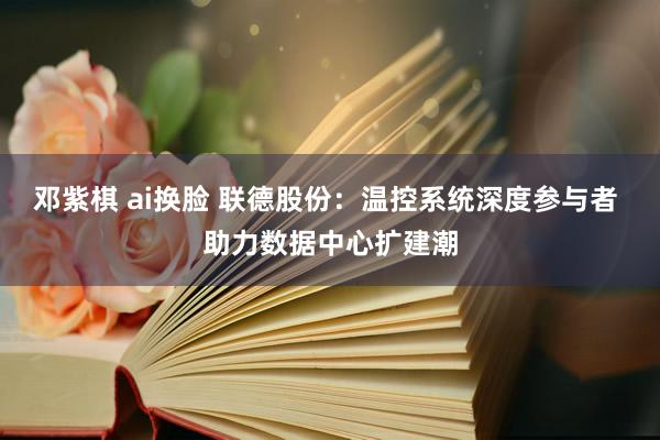 邓紫棋 ai换脸 联德股份：温控系统深度参与者 助力数据中心扩建潮