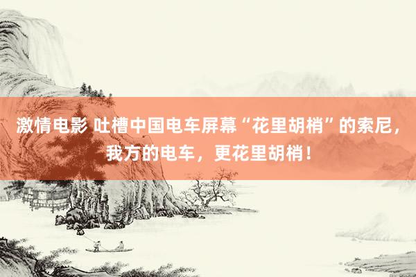 激情电影 吐槽中国电车屏幕“花里胡梢”的索尼，我方的电车，更花里胡梢！
