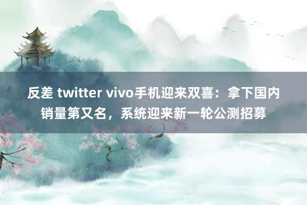 反差 twitter vivo手机迎来双喜：拿下国内销量第又名，系统迎来新一轮公测招募