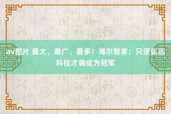 av图片 最大、最广、最多！海尔智家：只须弘远科技才调成为冠军