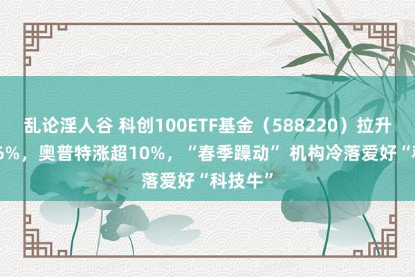 乱论淫人谷 科创100ETF基金（588220）拉升涨超3.6%，奥普特涨超10%，“春季躁动” 机构冷落爱好“科技牛”