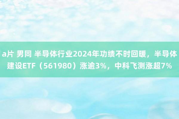 a片 男同 半导体行业2024年功绩不时回暖，半导体建设ETF（561980）涨逾3%，中科飞测涨超7%
