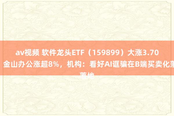 av视频 软件龙头ETF（159899）大涨3.70%，金山办公涨超8%，机构：看好AI诓骗在B端买卖化落地