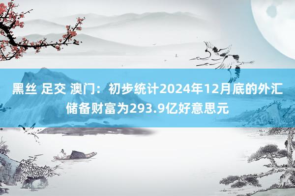 黑丝 足交 澳门：初步统计2024年12月底的外汇储备财富为293.9亿好意思元