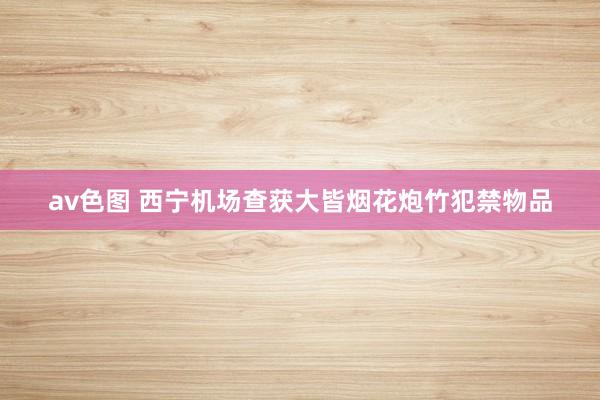 av色图 西宁机场查获大皆烟花炮竹犯禁物品