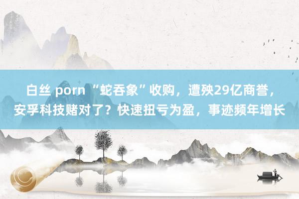 白丝 porn “蛇吞象”收购，遭殃29亿商誉，安孚科技赌对了？快速扭亏为盈，事迹频年增长