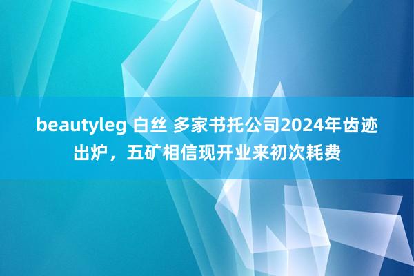 beautyleg 白丝 多家书托公司2024年齿迹出炉，五矿相信现开业来初次耗费