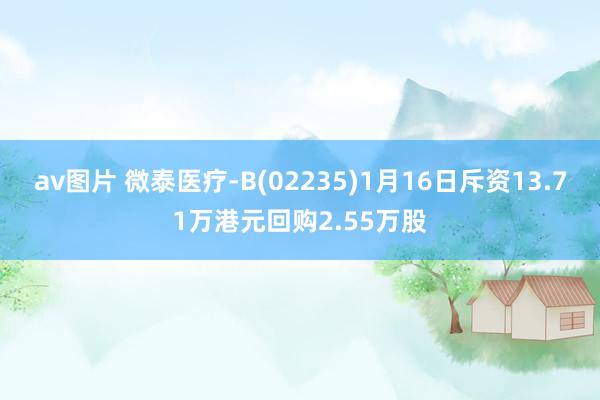 av图片 微泰医疗-B(02235)1月16日斥资13.71万港元回购2.55万股