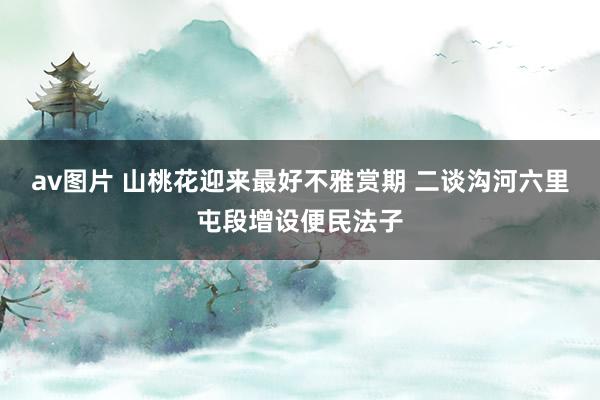 av图片 山桃花迎来最好不雅赏期 二谈沟河六里屯段增设便民法子