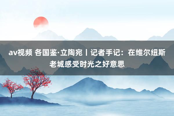 av视频 各国鉴·立陶宛丨记者手记：在维尔纽斯老城感受时光之好意思