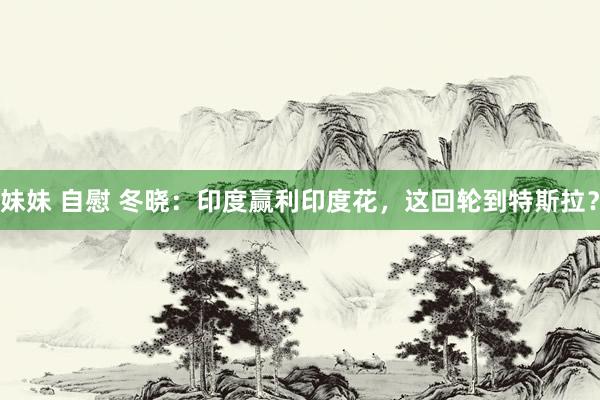 妹妹 自慰 冬晓：印度赢利印度花，这回轮到特斯拉？