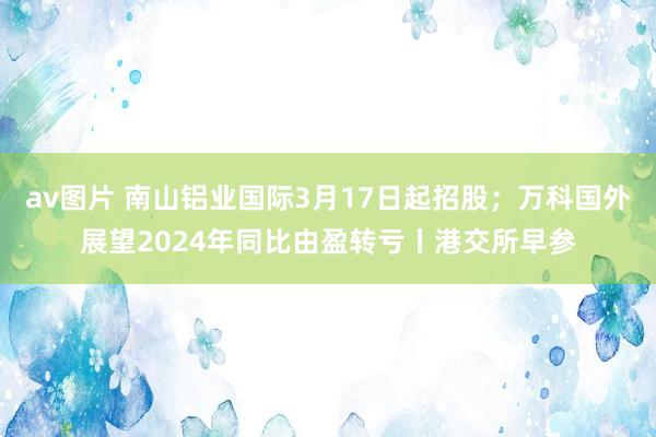 av图片 南山铝业国际3月17日起招股；万科国外展望2024年同比由盈转亏丨港交所早参