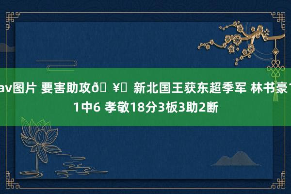 av图片 要害助攻🥉新北国王获东超季军 林书豪11中6 孝敬18分3板3助2断