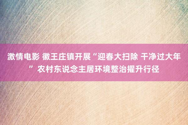 激情电影 徽王庄镇开展“迎春大扫除 干净过大年” 农村东说念主居环境整治擢升行径