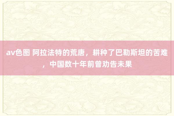 av色图 阿拉法特的荒唐，耕种了巴勒斯坦的苦难，中国数十年前曾劝告未果
