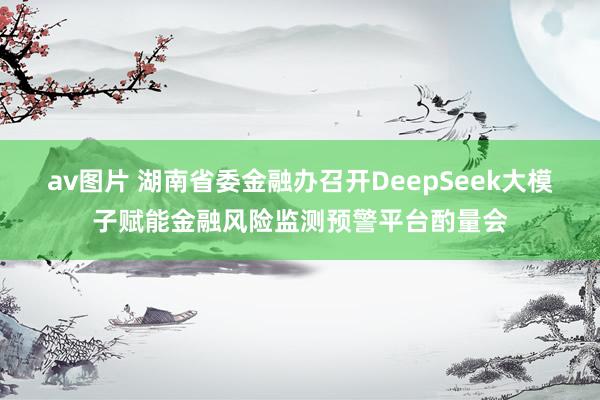 av图片 湖南省委金融办召开DeepSeek大模子赋能金融风险监测预警平台酌量会