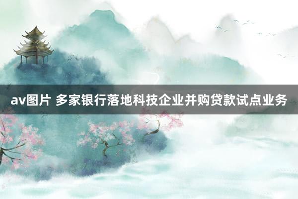 av图片 多家银行落地科技企业并购贷款试点业务