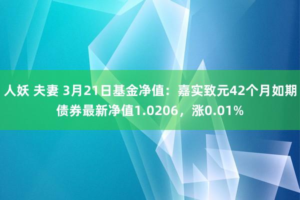 人妖 夫妻 3月21日基金净值：嘉实致元42个月如期债券最新净值1.0206，涨0.01%