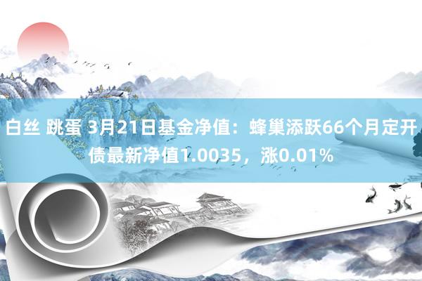 白丝 跳蛋 3月21日基金净值：蜂巢添跃66个月定开债最新净值1.0035，涨0.01%