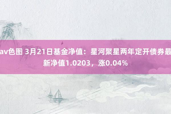 av色图 3月21日基金净值：星河聚星两年定开债券最新净值1.0203，涨0.04%