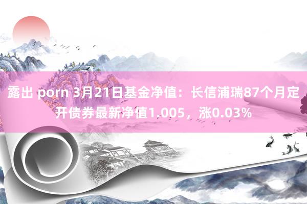 露出 porn 3月21日基金净值：长信浦瑞87个月定开债券最新净值1.005，涨0.03%