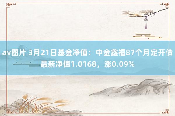 av图片 3月21日基金净值：中金鑫福87个月定开债最新净值1.0168，涨0.09%