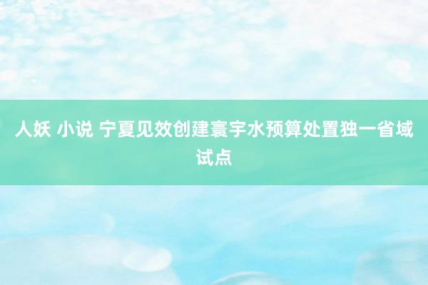 人妖 小说 宁夏见效创建寰宇水预算处置独一省域试点