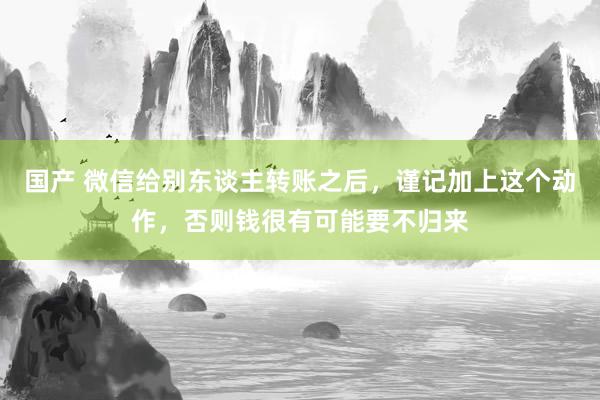 国产 微信给别东谈主转账之后，谨记加上这个动作，否则钱很有可能要不归来