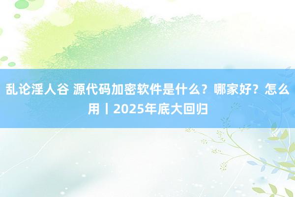 乱论淫人谷 源代码加密软件是什么？哪家好？怎么用丨2025年底大回归