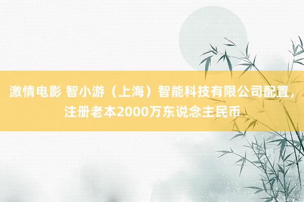 激情电影 智小游（上海）智能科技有限公司配置，注册老本2000万东说念主民币